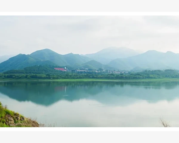 冰糖红枣止咳化痰：甘甜温和，疗效卓越的中医秘方