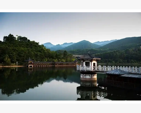 脸部针灸：有安全隐患吗？